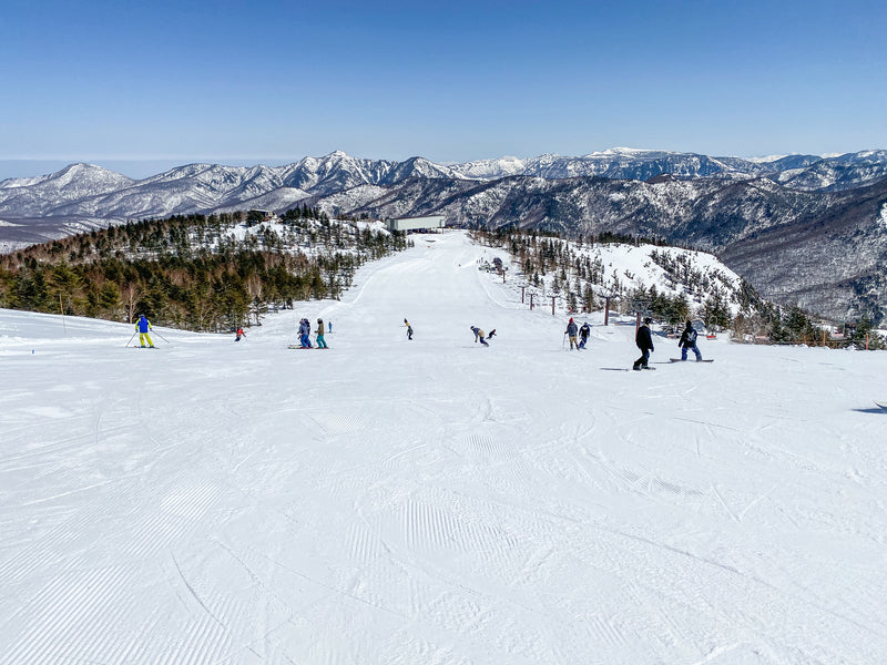 Shiga Kogen Japan